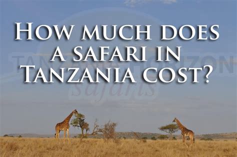 What Does A Safari In Tanzania Cost Tanzania Horizon Safaris