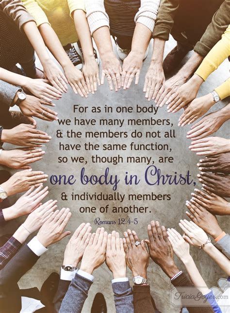 We Are One Body One Body In Christ Poster Yahoo Image Search Results