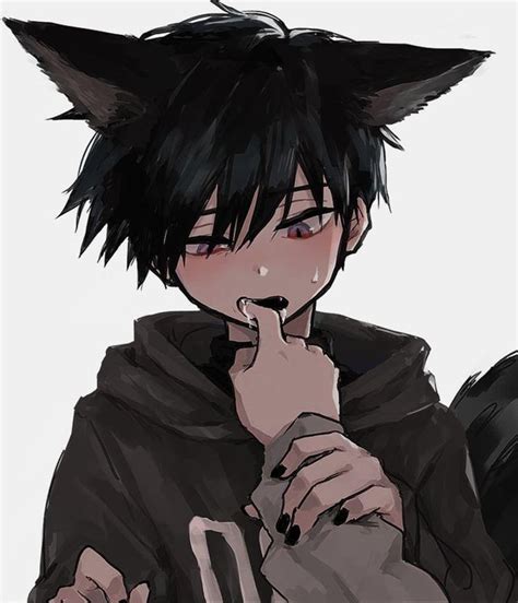 Catboy Anime Profile Picture Melaniereber