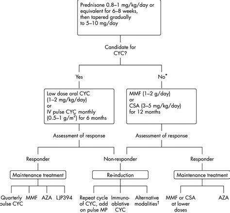 What is the treatment for lupus? Treatment of severe proliferative lupus nephritis: the ...