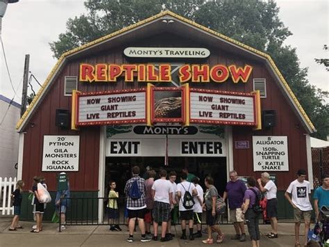 Reptile Show At The Minnesota State Fair Goes On Without Founder Mpr News