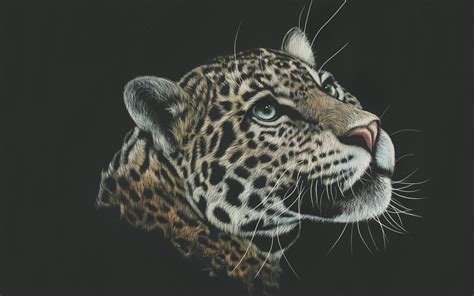 Leopard Artwork Paint 4k Wallpapers Hd Wallpapers