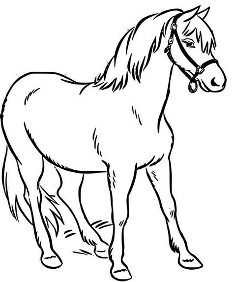 Pin On Coloring Pages For Kids