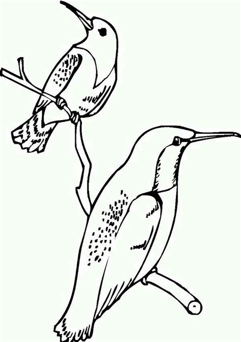 This hummingbird coloring pages will helps kids to focus while developing creativity, motor skills and color recognition. Rufous Hummingbirds On A Branch Of Tree Coloring Page ...
