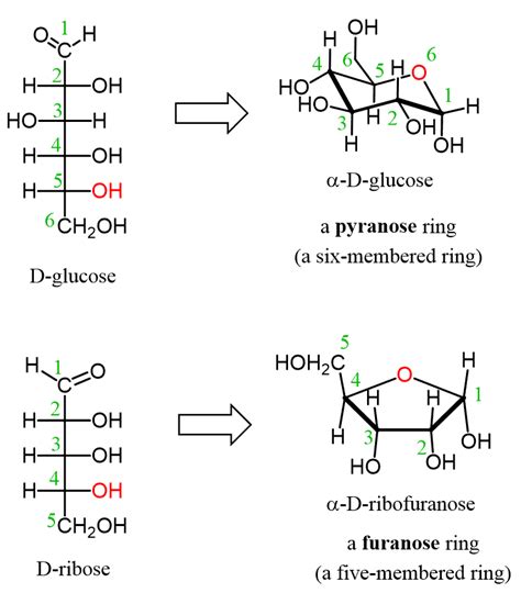 Carbohydrates Structure And Classification Chemistry Steps
