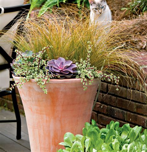 Fall Container Gardening Ideas Southern Living Fall Container