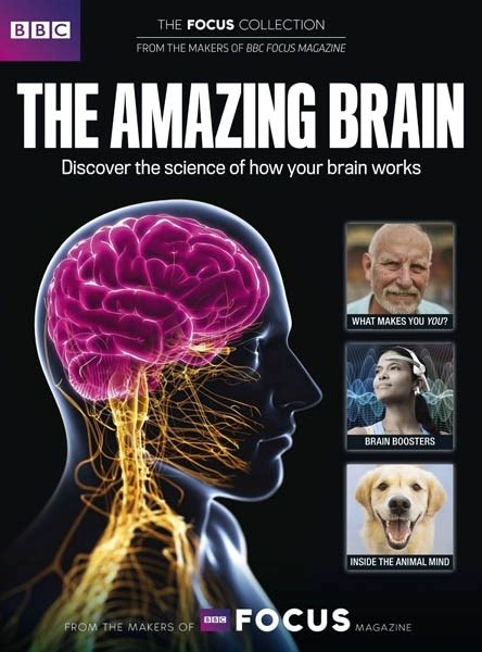 bbc science focus the amazing brain downtr full