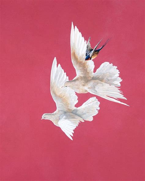 Tim Hayward Doves And Swallow Roseate Animal Painting
