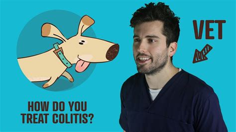 Causes in dogs include intestinal parasites, allergy, bacterial infection, bowel cancer, or viral infection. How To Treat Colitis In Dogs | Vet Explains - YouTube