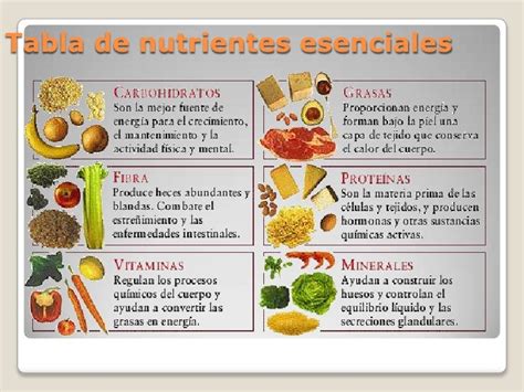 Clasificacion De Los Nutrientes Segun Su Funcion En El Organismo Images