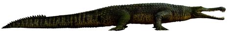 Sarcosuchus Monsters Resurrected Wiki Fandom Powered By Wikia