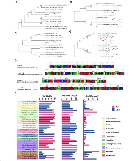 Phylogeny Of Four High Identity Non Match Genomes A D Phylogenetic
