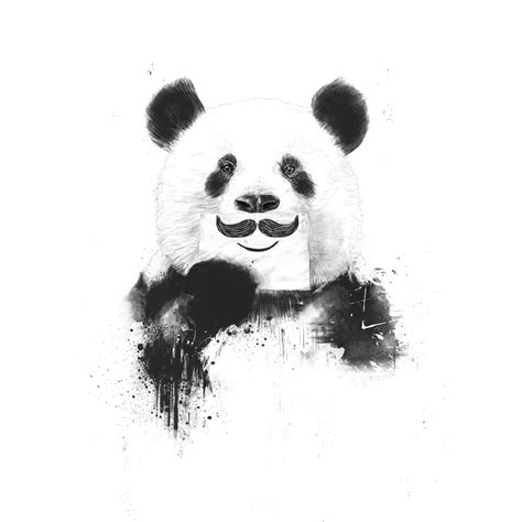 Funny Panda Tapet Fototapet Happywall