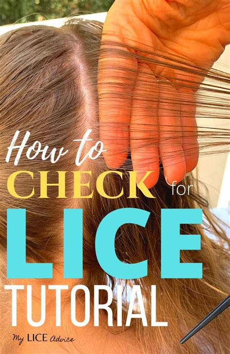How To Check For Lice Tutorial Artofit