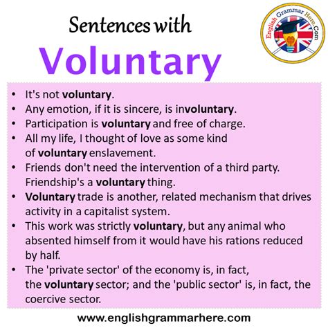 Sentences With Voluntary Voluntary In A Sentence In English Sentences