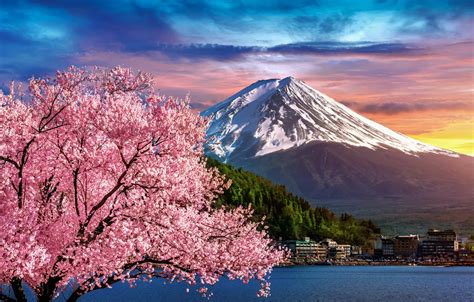 Wallpaper River Spring Japan Sakura Japan Flowering Mount Fuji
