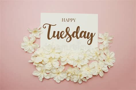 Happy Tuesday Card Typography Text With Flower Bouquet On Pink