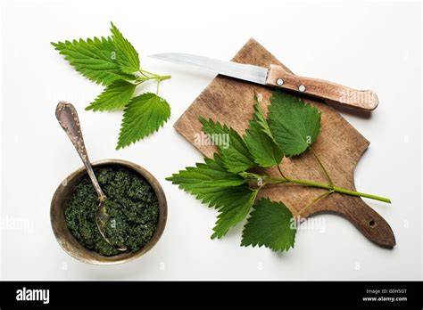Nettle Rash High Resolution Stock Photography And Images Alamy
