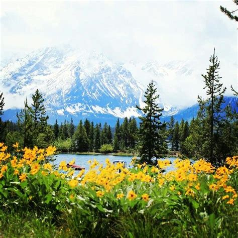 These charming log homes were actual homestead cabins built in the era when america expanded westward and adventurous homesteaders settled under the shadow of the stunning tetons. Colter Bay, Grand Tetons, Wyoming | Natural park, Grand ...