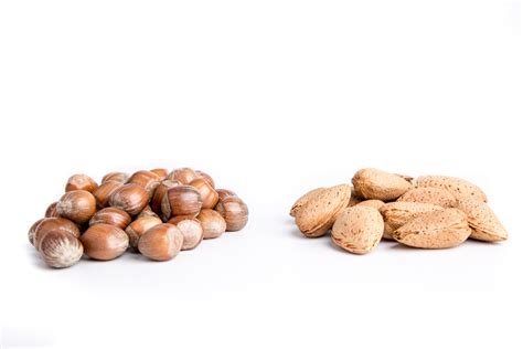 Nuts Free Stock Photo Public Domain Pictures