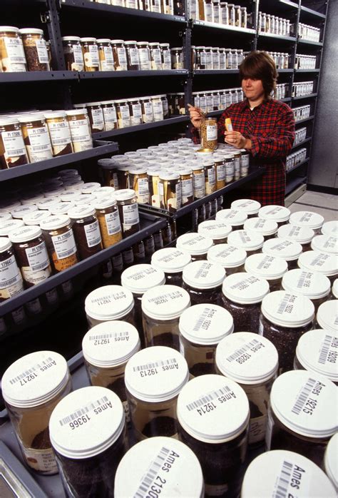 We only recommend companies with outstanding stealth, reliability, customer service, and seed quality. Saving seeds: arctic project puts phem in the bank ...