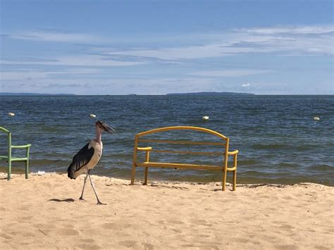 Spennah Beach Entebbe