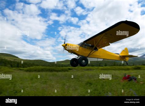 Yellow Super Cub Bush Plane Taking Off From A Lush Green Alaskan Field