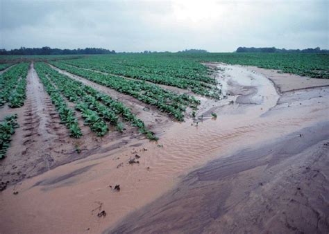 #color(blue)(water:# gravity works with water to cause erosion from waves. Sediment Is a Major Water Pollutant