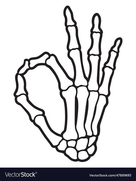 Skeleton Finger Ok Hand Sign Royalty Free Vector Image