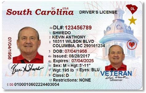 First Look At The New Sc Drivers License Youll Need To Travel In