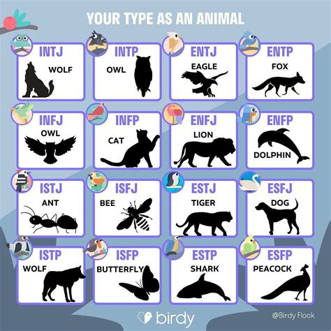 Birdy On Instagram “your Personality Type As An Animal Thank You