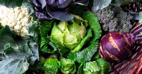How To Grow Cruciferous Vegetables And Cole Crops Gardeners Path