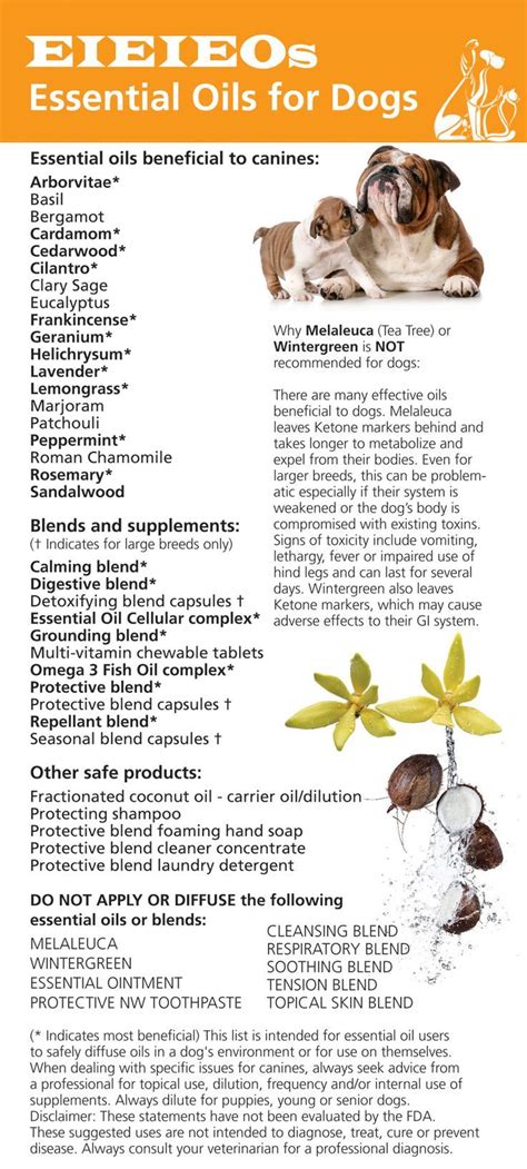 We've compiled a list of safe oils to use on pets below — but like any change to your animal's care routine, we recommend checking with a vet before starting your furry friend on an essential oil regimen and always using a diluted oil. a513666c4d5f2d6c34af725f6daea41f.jpg (736×1633 ...
