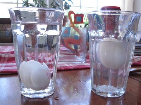Cikgu Lim Love Science Fun Experiments 1 Floating Egg