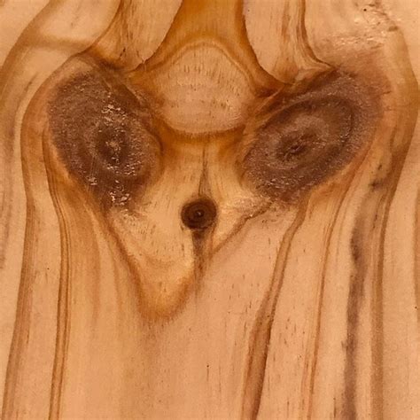 Wood Eye Yes Eye Wood Face Foundfaces Pareidolia Iseefaces