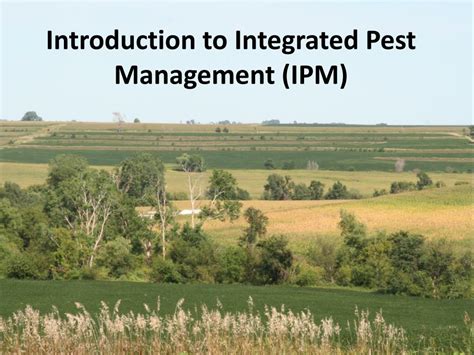 We are committed to integrated pest management (ipm)—an economically viable, environmentally sound and socially acceptable approach to crop protection—as defined by the international crop protection companies that integrate ipm principles into marketing and customer support for their. PPT - Introduction to Integrated Pest Management (IPM ...