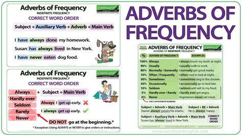 Adverbs Of Frequency In English Grammar Lesson ESL Video Adverbs