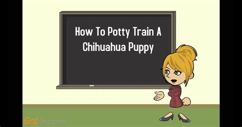Nakita Grinie Potty Training A Chihuahua
