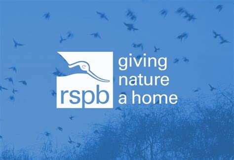 What does rspb stand for? RSPB - Headscape