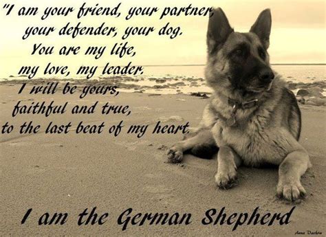 German Shepherd Missing You Quotes Quotesgram