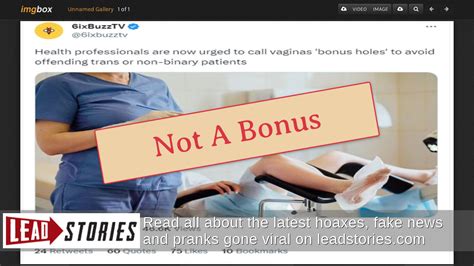 Fact Check Health Professionals Not Urged To Call Vaginas Bonus Holes To Avoid Offending