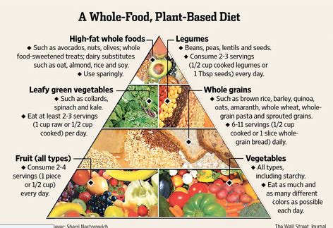 WFPB Food Pyramid Vibes