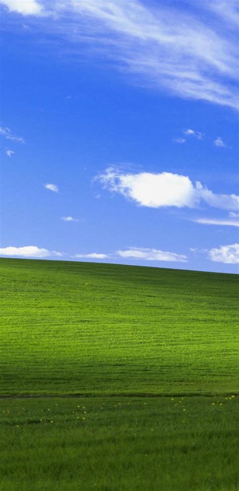 Winxp 4k Wallpapers Wallpaper 1 Source For Free Awesome Wallpapers