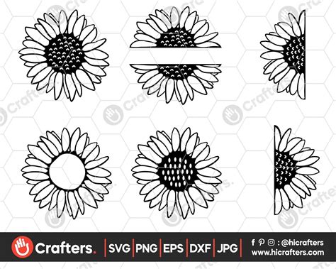 Split Sunflower Design Half Sunflower Cut File Sunflowers SVG