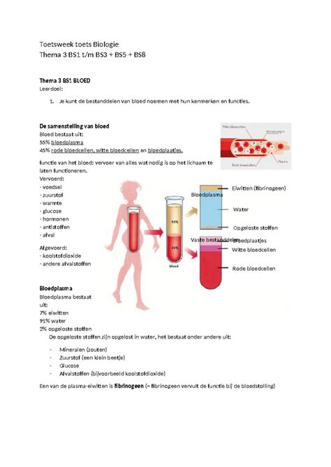 Biologie TWA T3 BS1 T M 3 5 8 Toetsweek Toets Biologie Thema 3 BS1 T