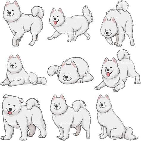 samoyed dogs cartoon vector clipart friendlystock