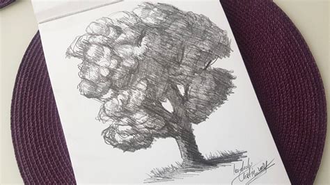 Desen Cu Copac In Creion Pe Hartie Cristina Picteaza