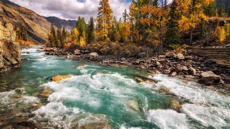 Nice View Of River Between Colorful Autumn Trees Covered Forest And