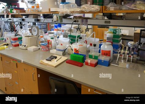 Biotechnology Research Lab Mit Stock Photo Alamy