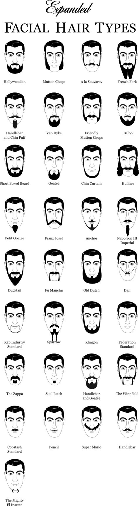 It's a relaxing facial the relieves stress and blockage. Guide to men's facial hair {big chart} | Crazy Stuff ...